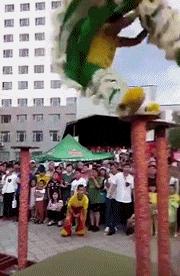 搞笑gif狗子我为这个家操碎了心,搞笑gif图片狗子都开始学坏了