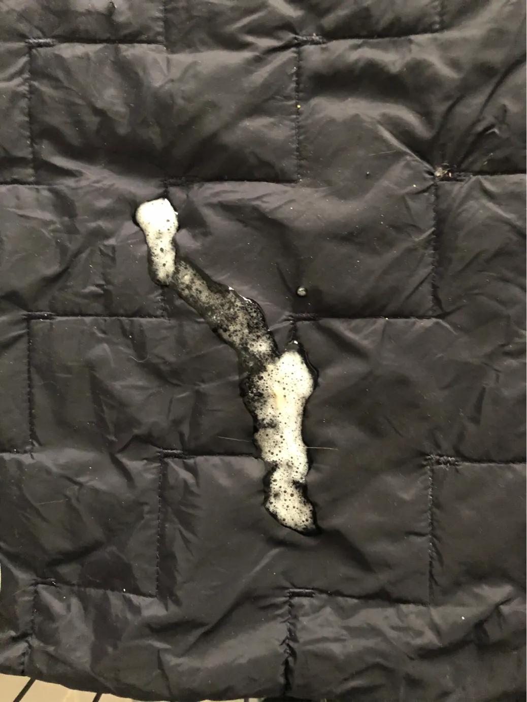 猫猫肠胃炎需要隔离吗,猫猫胃肠炎的症状及治疗方法