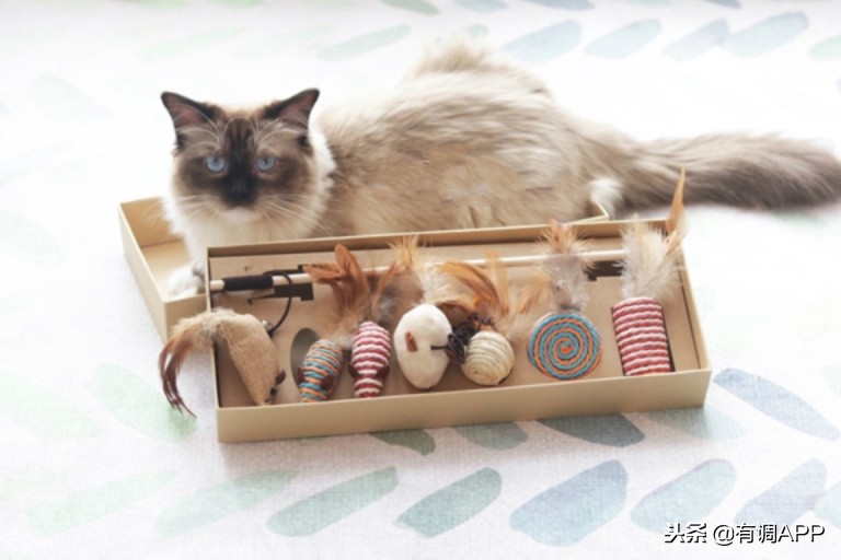 哪怕关店了都舍不得删，这100家淘宝店绝对值得珍藏