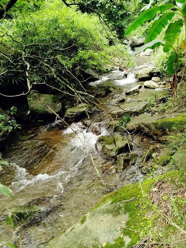 恩施鹤峰旅游攻略一天,恩施鹤峰旅游攻略