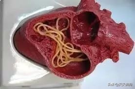 狗狗有虫子的症状表现,狗狗肚子里有虫子会有哪些表现