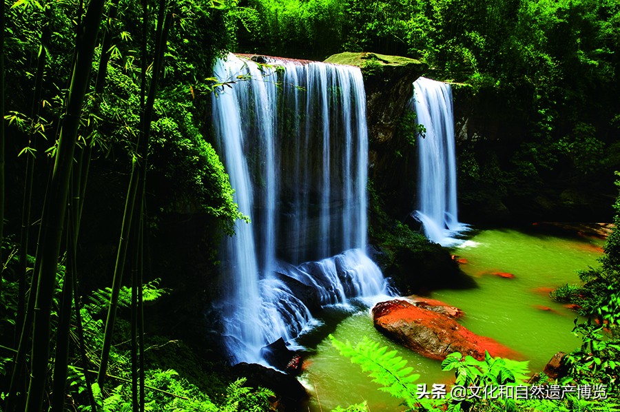 世界自然遗产赤水桫椤植物,赤水世界文化遗产