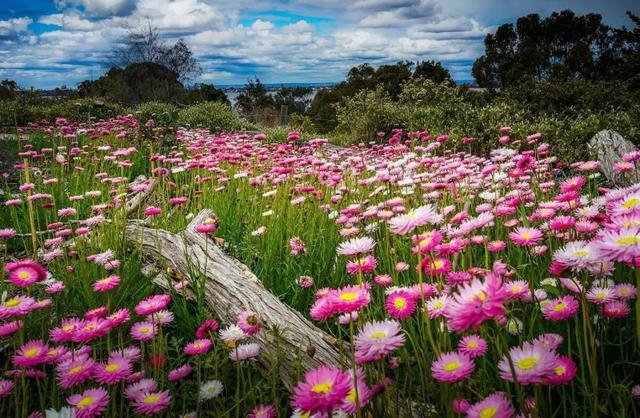 妻子的浪漫旅行第二季取景点,妻子的浪漫旅行2去了哪些地方