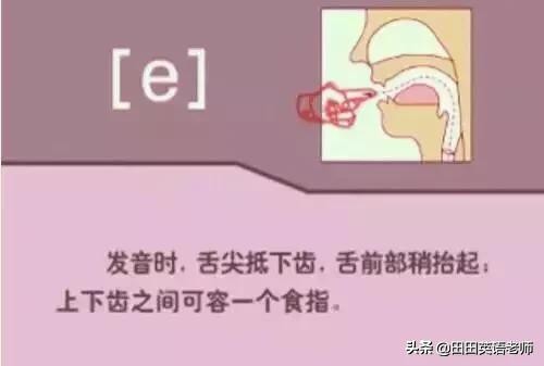基础英语48个国际音标详解，赶紧来学习！