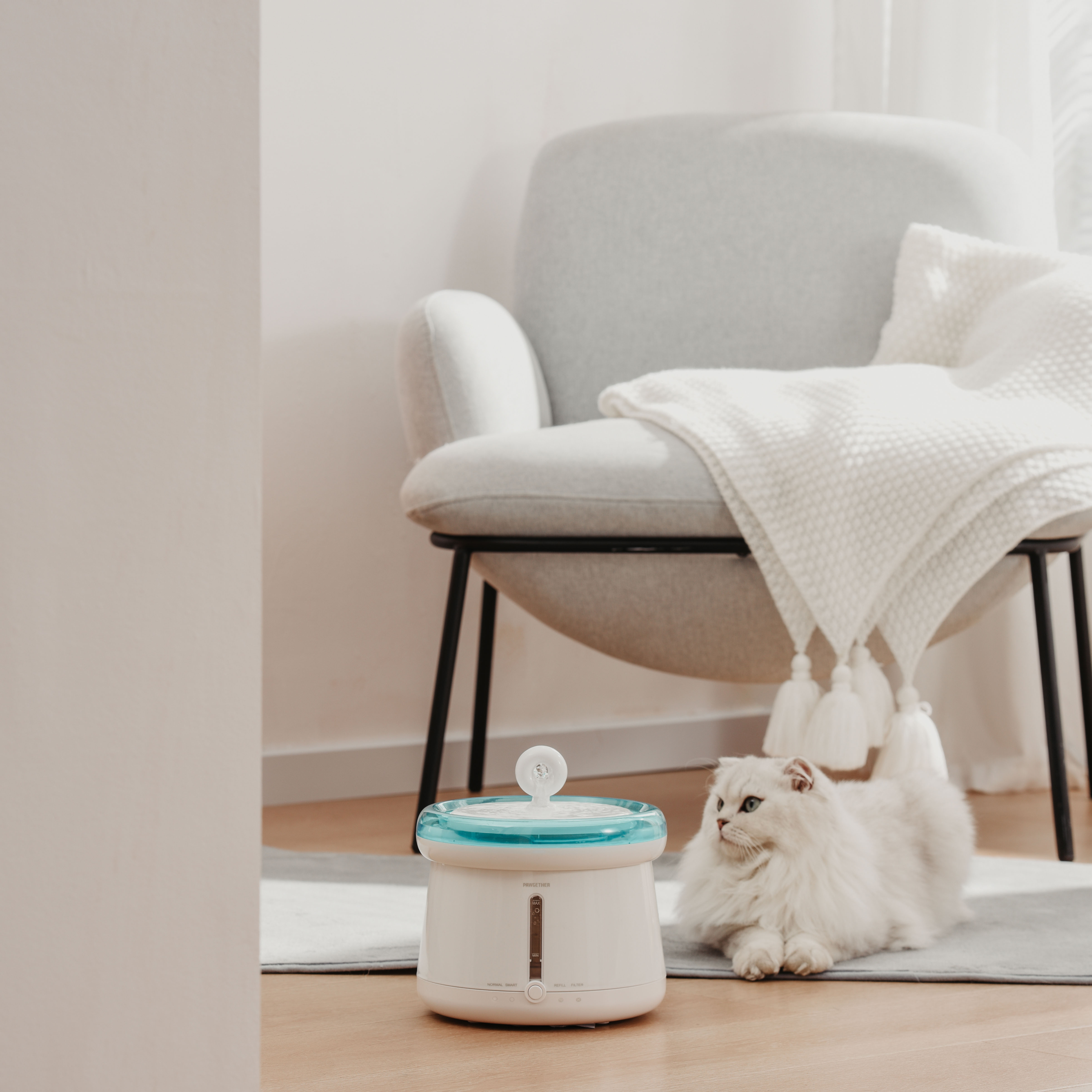 猫智能饮水器智商税,检测宠物饮水量的饮水机