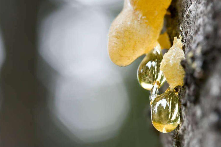 如何正确三招选定香薰，让家怡心怡情更添精致