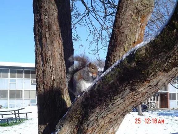 我的“大尾巴”，你在异国他乡还好吗？