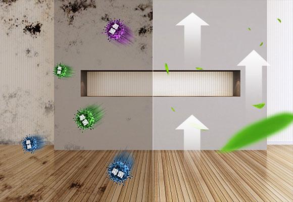 墙壁发霉有虫子用除霉剂可以吗,墙壁发霉脱落用什么除霉剂好