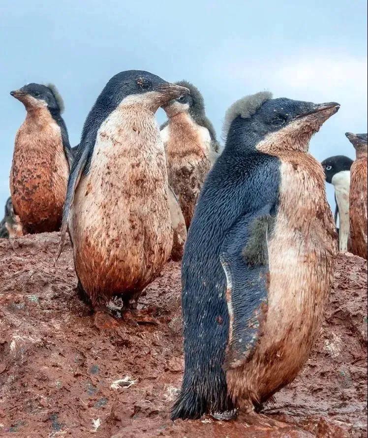 六星连珠什么现象,2022年六星连珠出现时间