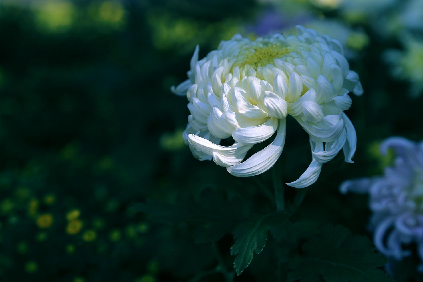 摄影后期如何处理颜色,摄影照片后期处理教程