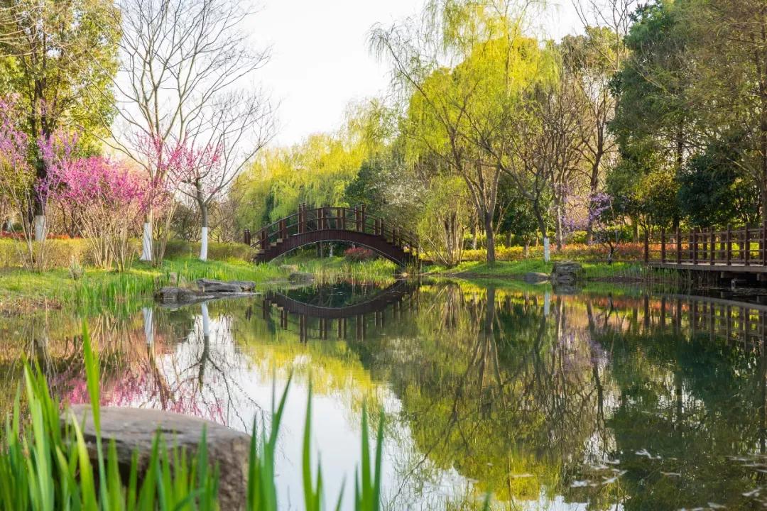 江苏昆山杜克大学图片,昆山杜克大学堪比985