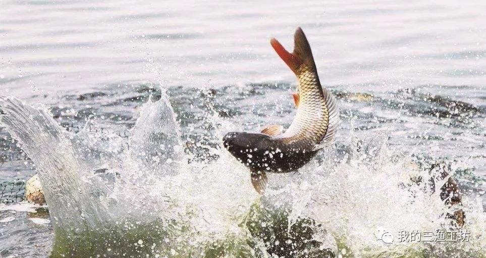 选好鱼竿，轻松享用垂钓好时光