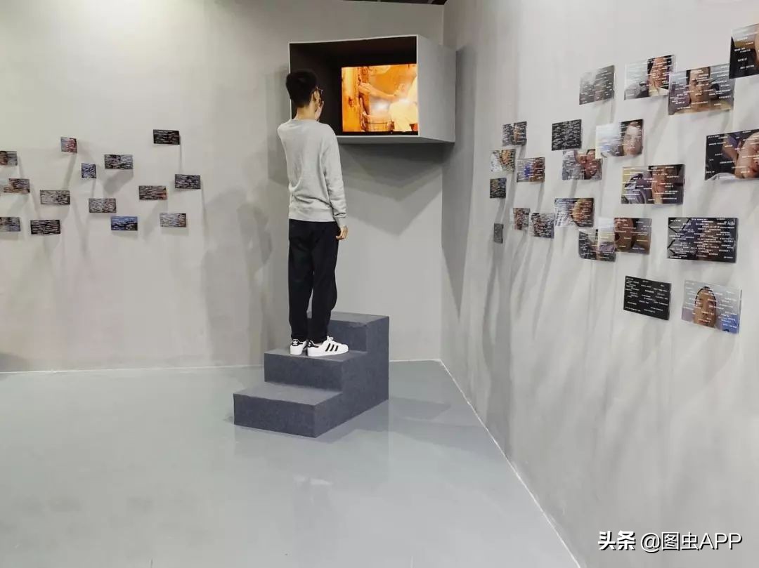 图虫opensealab摄影,图虫看动物世界系列