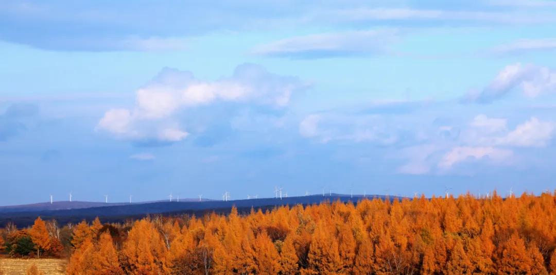 【破译宁安的旅发密码】2：宁安，就是百里山水画廊