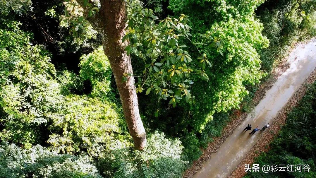 中国云南哪里好看,云南的云彩为什么好看