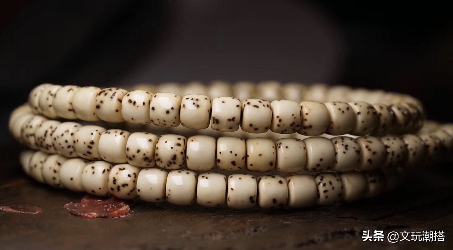 众星捧月的星月菩提,海南星月菩提众星捧月