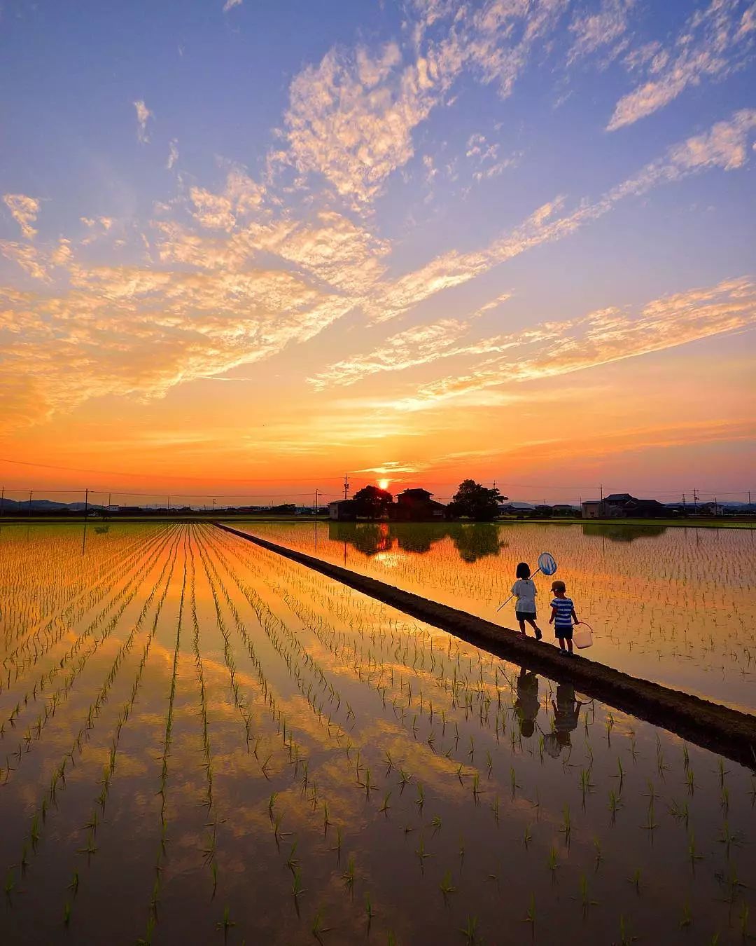 日本一爸爸拍摄女儿和儿子的照片火遍ins！我都想生娃了…