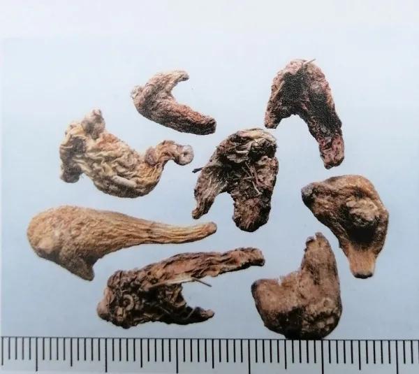 止血收敛的药有哪些,收敛止血中成药有哪些