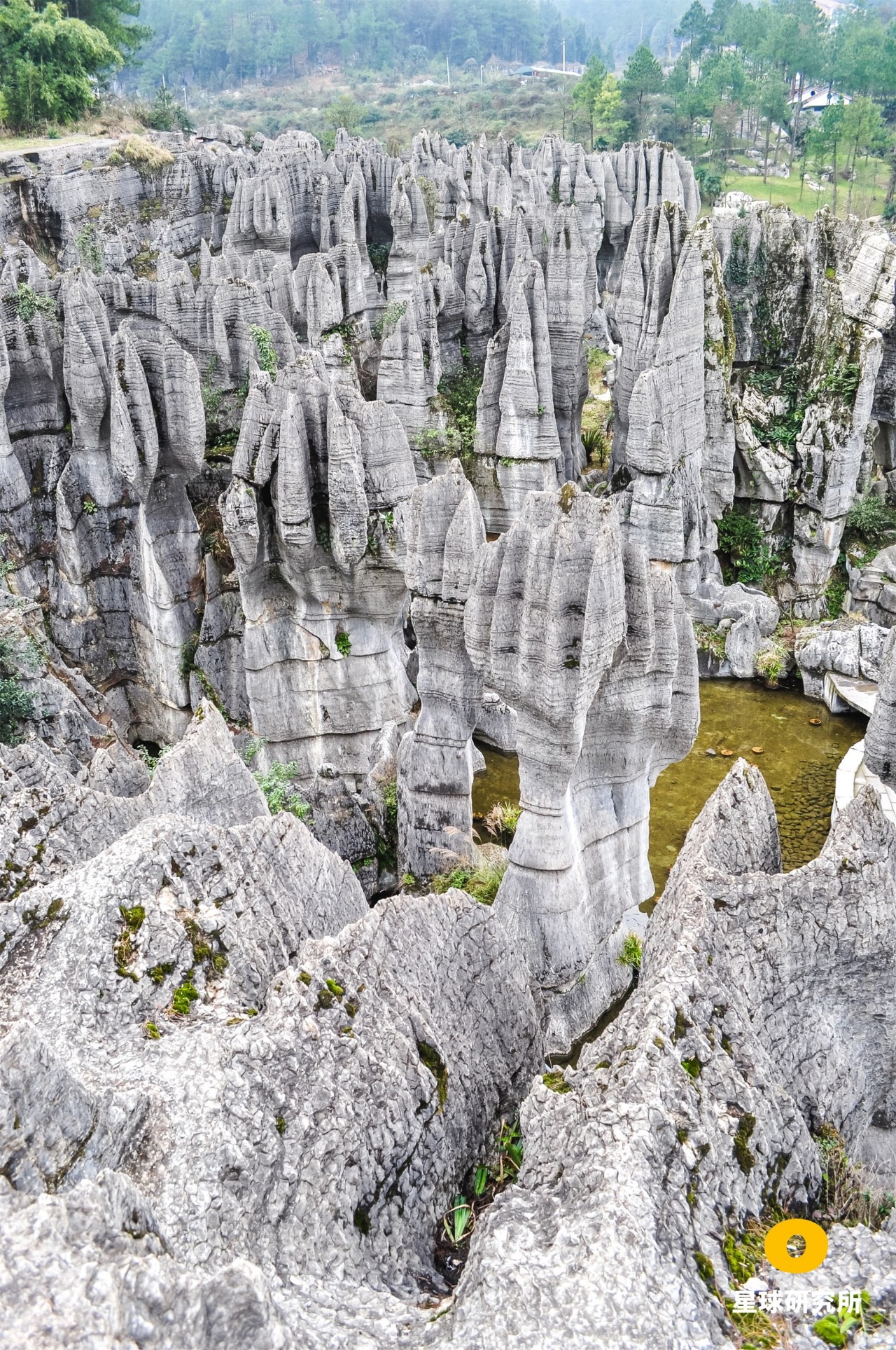 南方喀斯特世界遗产,中国南方喀斯特地貌特点
