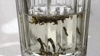 茉莉花茶到底是好茶还是烂茶,只有茉莉花茶是真正的花茶