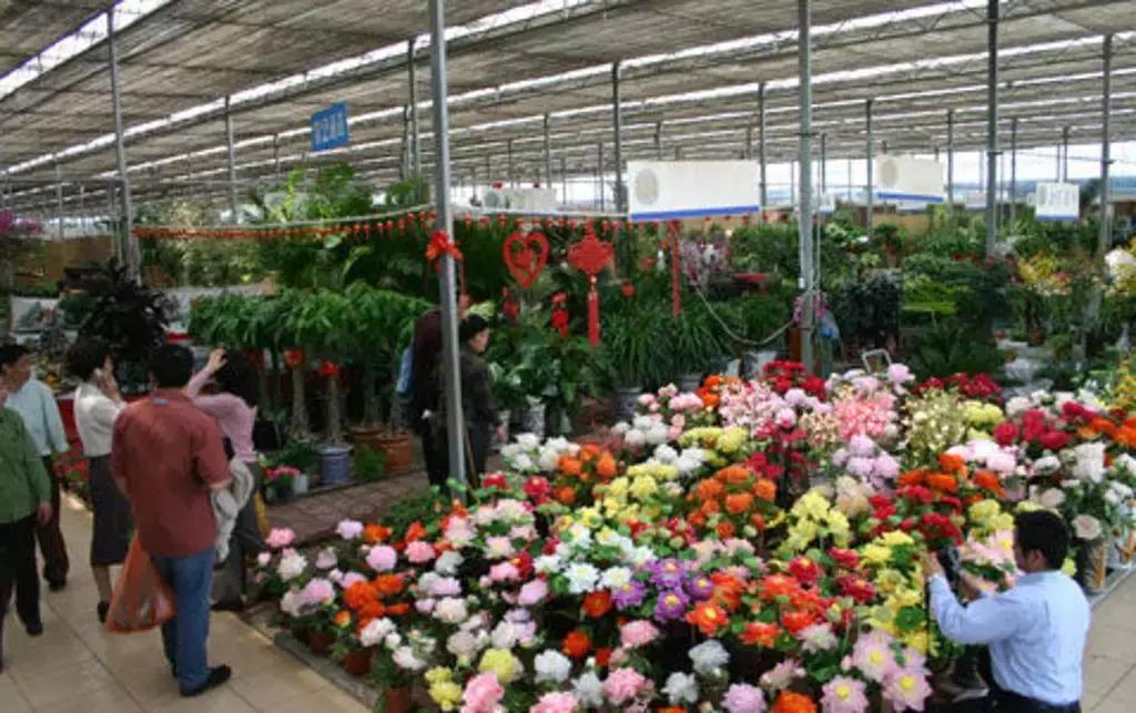 即将消失的花鸟鱼虫市场,天津消失的鱼虫市场