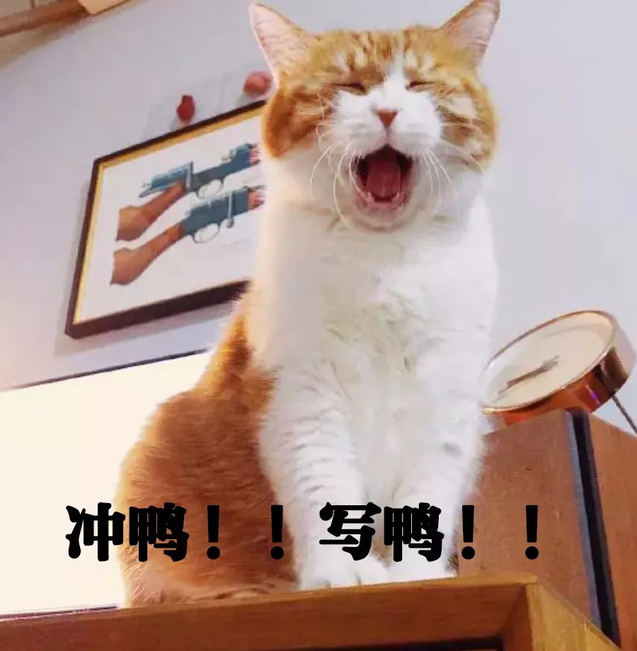 新手做自媒体如何快速上手有收益,小白做自媒体不知道如何赚取收益