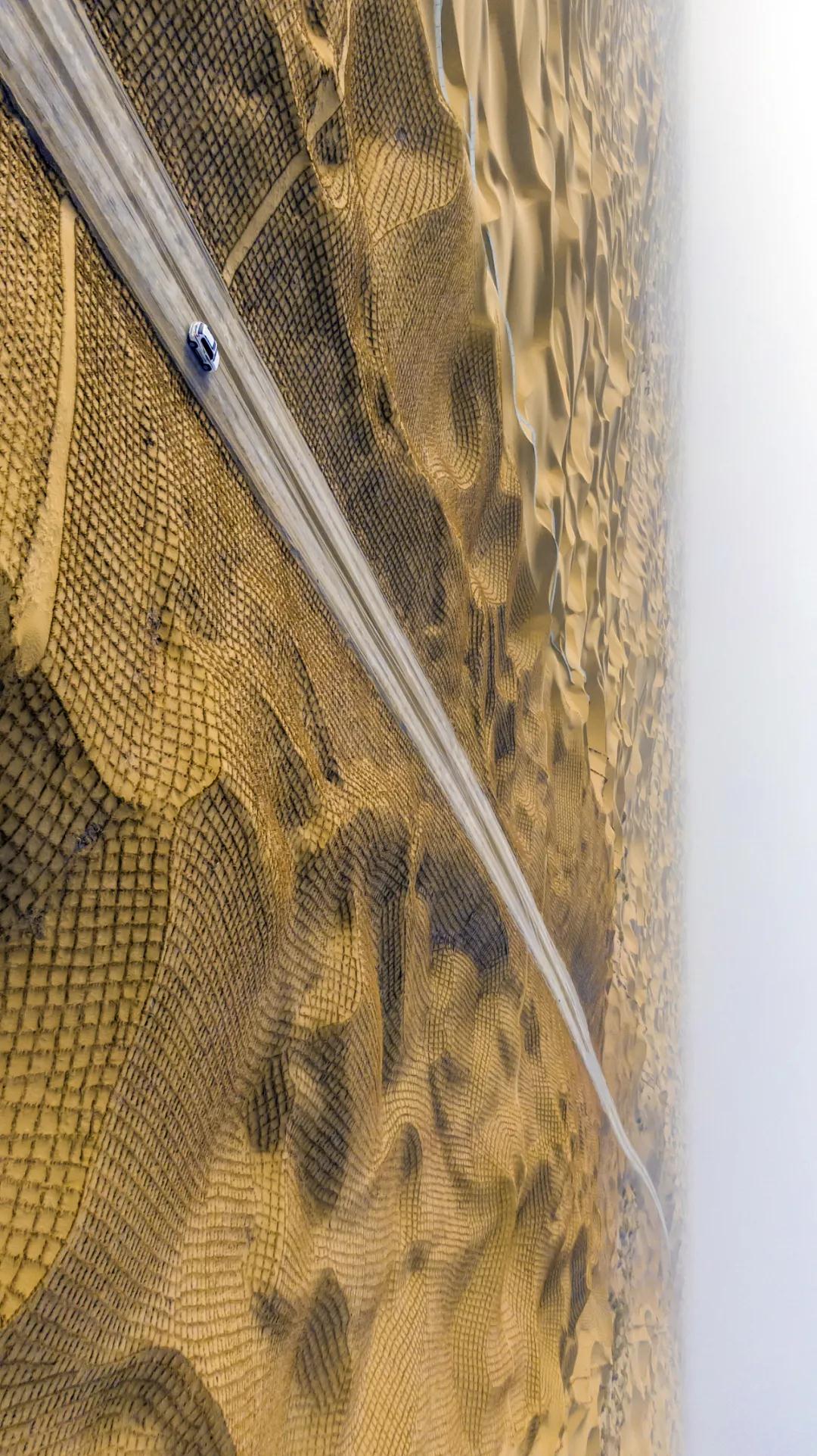 中国植树造林面积,中国植树造林成果国外有什么看法