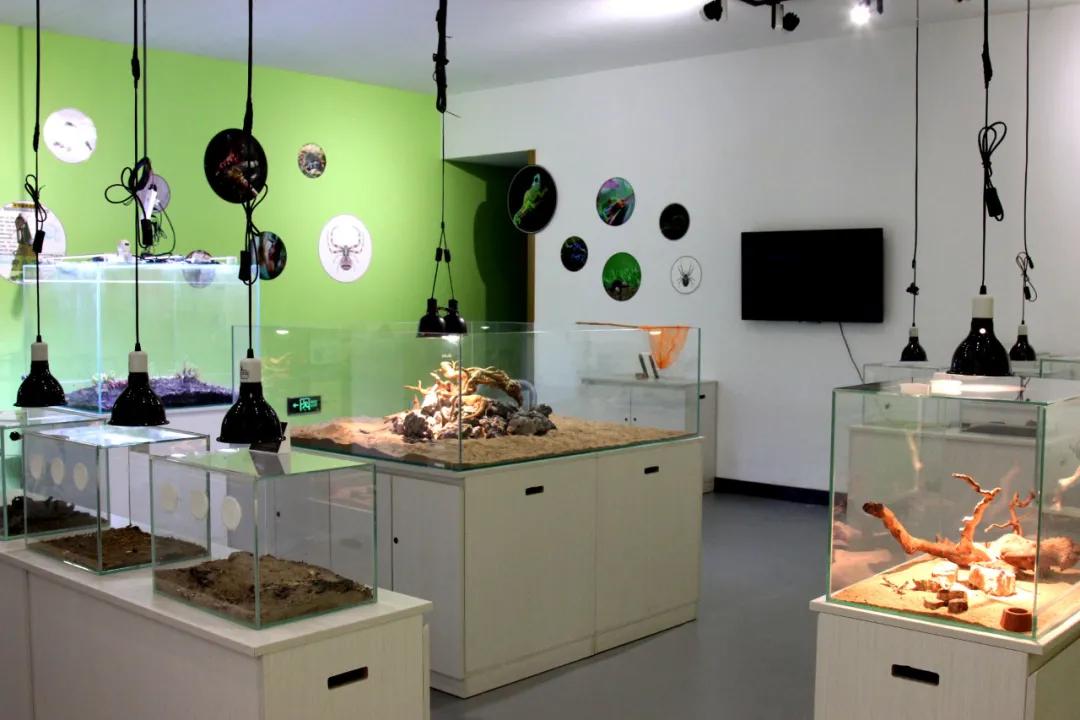 端午节省时省力的游玩攻略,端午去哪玩这份旅游攻略值得收藏