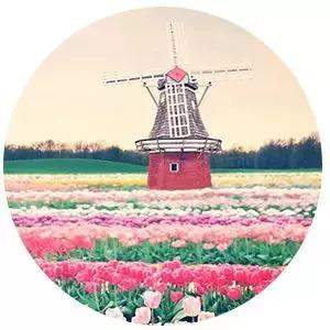 最近吾悦广场事件,吾悦广场最新事件发生时间