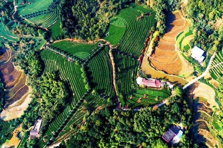 犍为风景最优美的地方,美丽的犍为风景