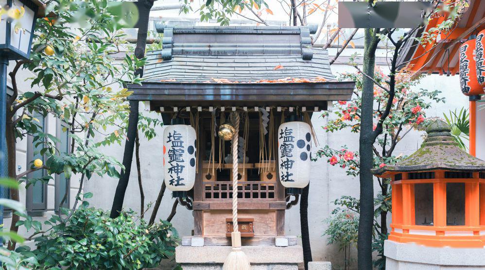 美丘石田衣良作品,勇敢的爱石田衣良美丘