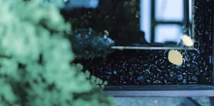 一日慎独则心安日日精进,日日精进人生