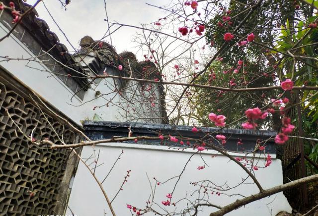 来扬州一定要去瘦西湖美出仙境,记录扬州瘦西湖之旅