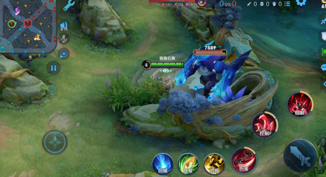 王者光荣专业术语红开蓝开,王者光荣术语解释