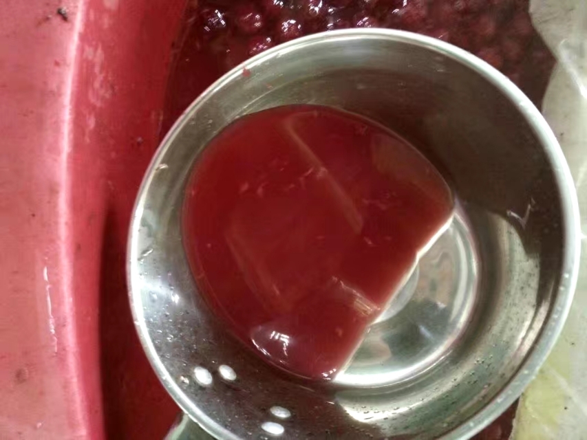 酿杨梅酒用冰糖发酵,杨梅酒发酵全过程