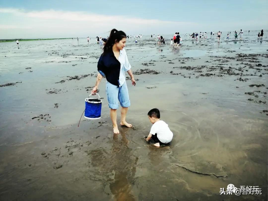 遛娃|南汇新城海滩，魔都夏日必打卡？