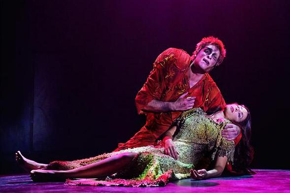 巴黎圣母院音乐剧价格,巴黎歌剧院歌剧当日购票攻略