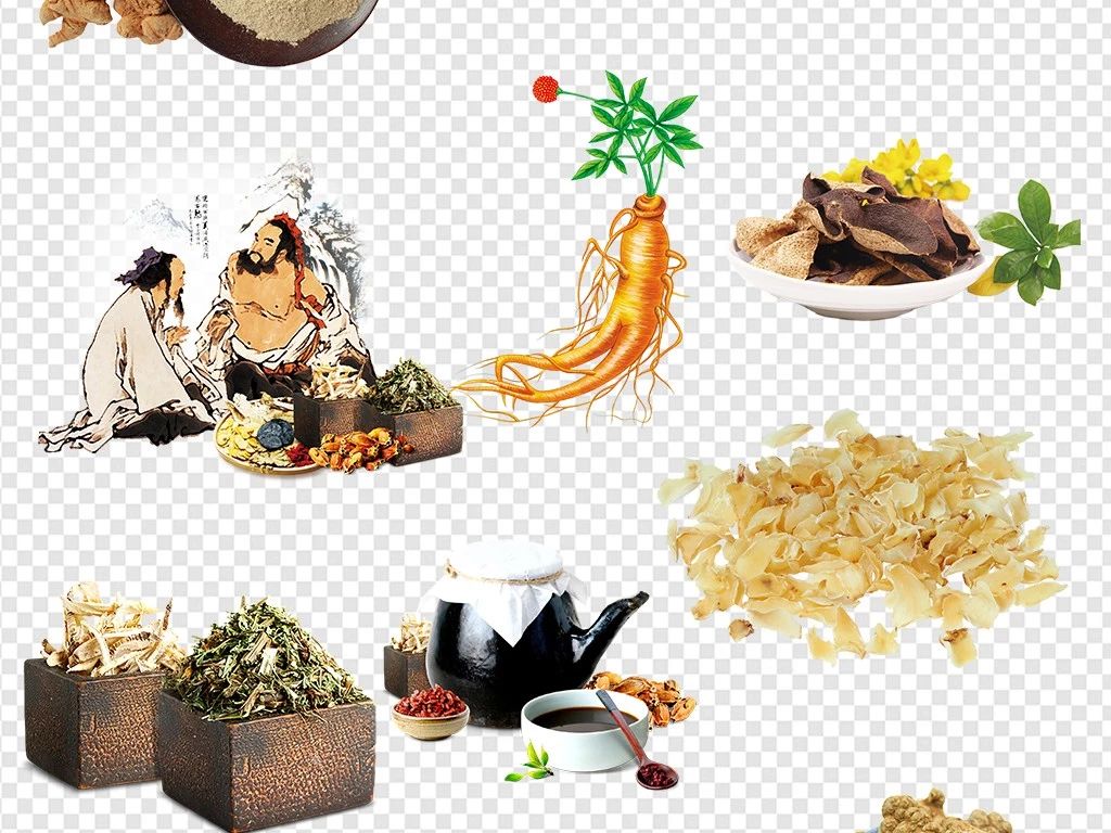 浅谈中医养生方法论文,浅谈中医养生与食疗