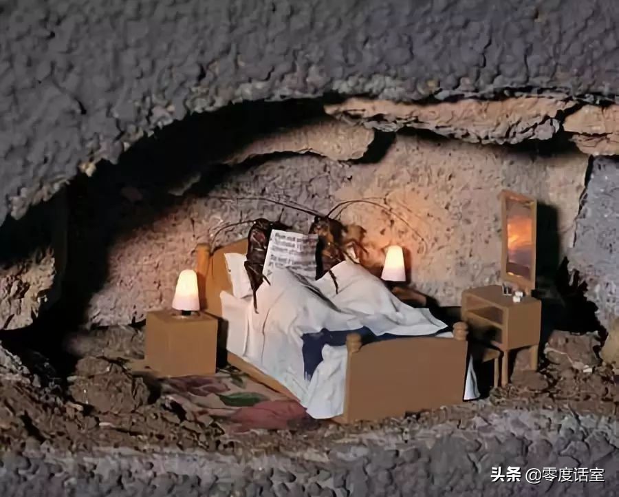 除了杜蕾斯还有什么创意广告,除了劳斯莱斯最好的车还有什么