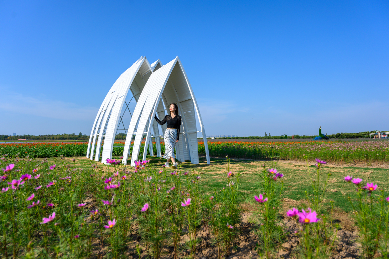 固城湖最佳吃蟹时间,秋风起蟹脚痒你懂得怎么吃螃蟹吗