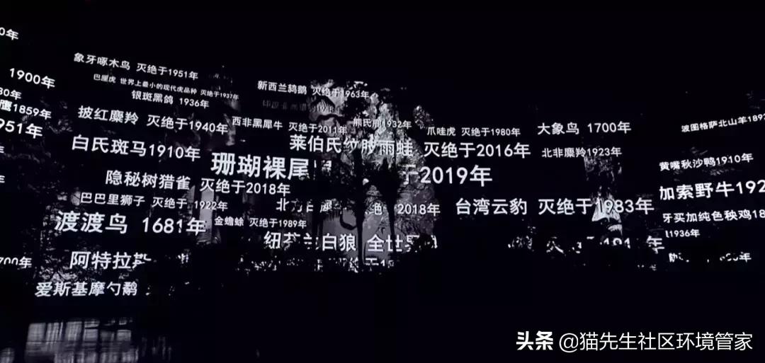 疯狂的裸体彩绘|这世间事十有八九都与垃圾分类有关