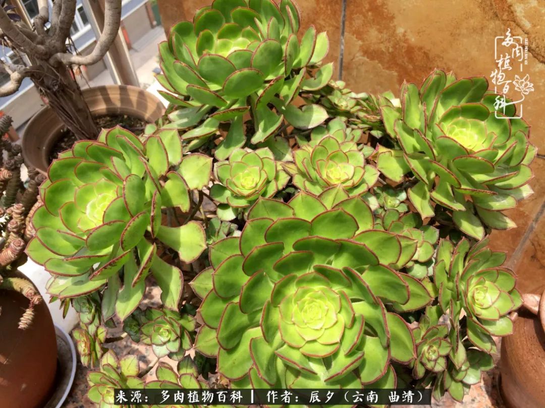 缂辩换鏃栨棊钁宠暏鐢熼,缂辩换鏃栨棊钁宠暏鐢熼鍑哄