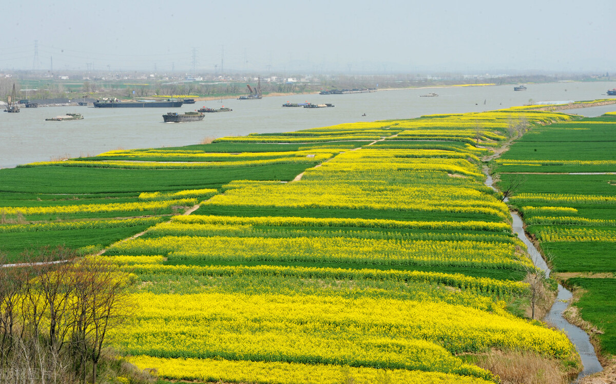 安徽哪里是南北分界线,安徽南北分界线在哪个城市