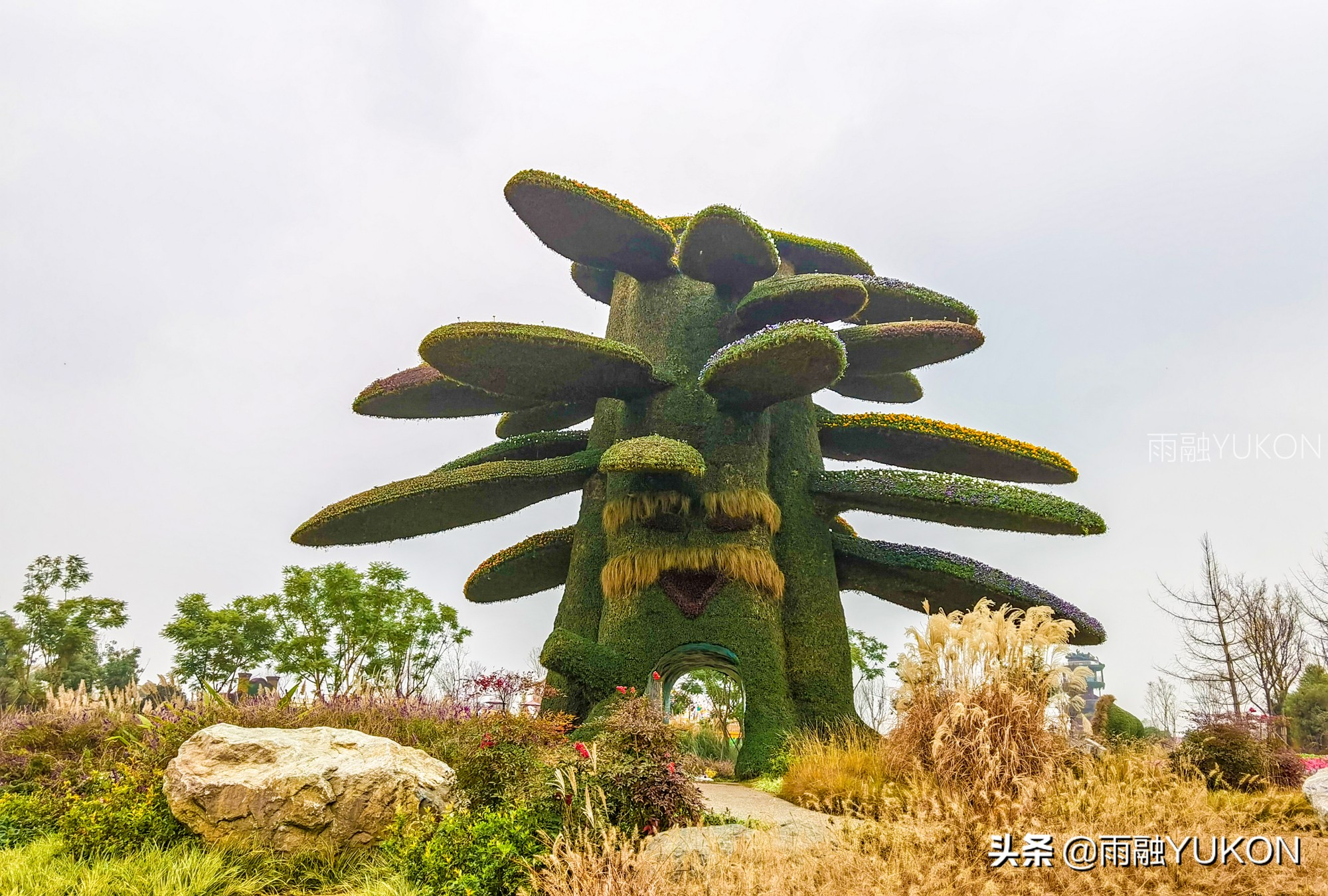 坐拥2项世界纪录的公园：拥有2.2万平米花海，门票仅30元却少有知