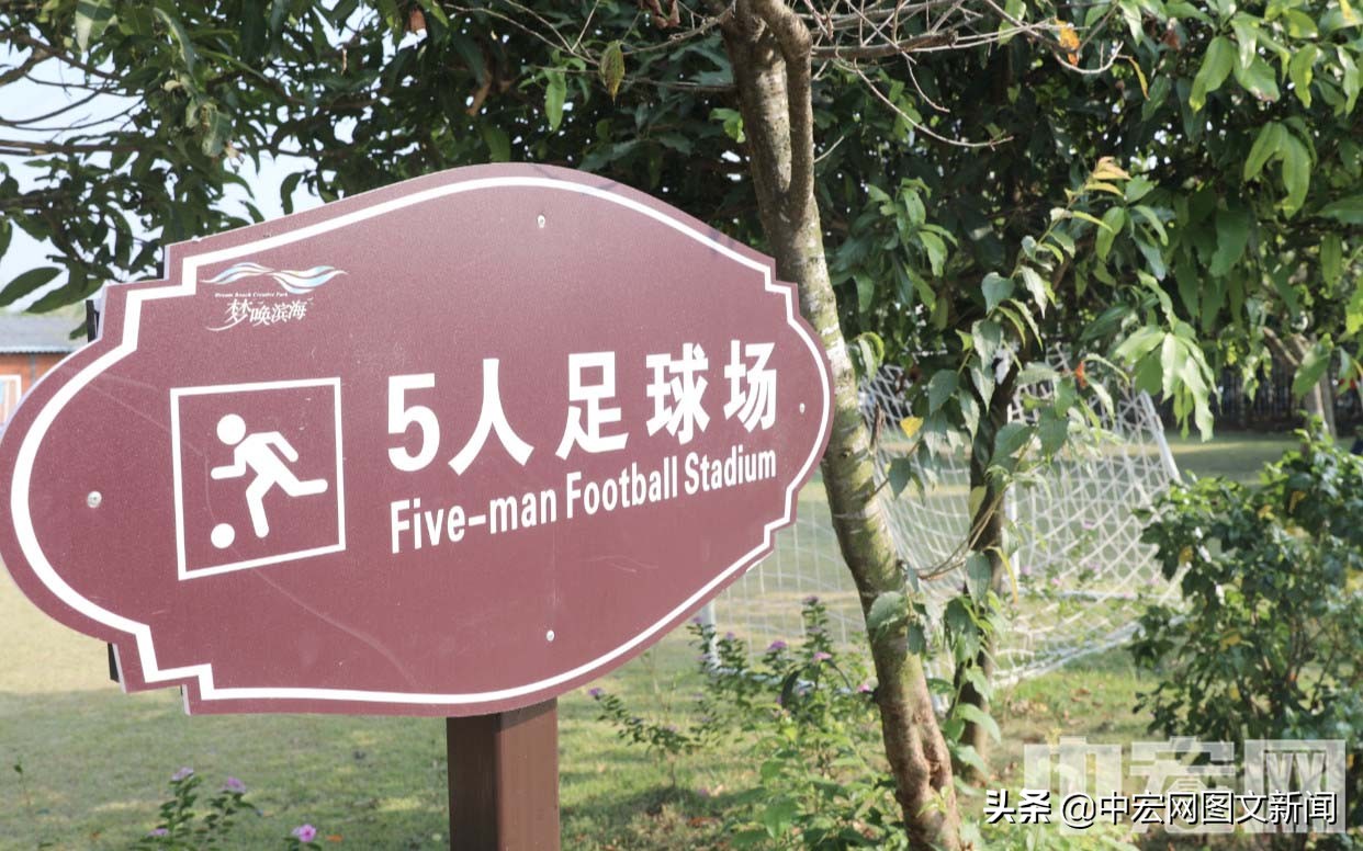 重点足球场建设,中国公共足球场建设