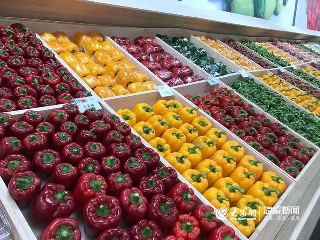 10元套餐菜团购,10元10斤菜