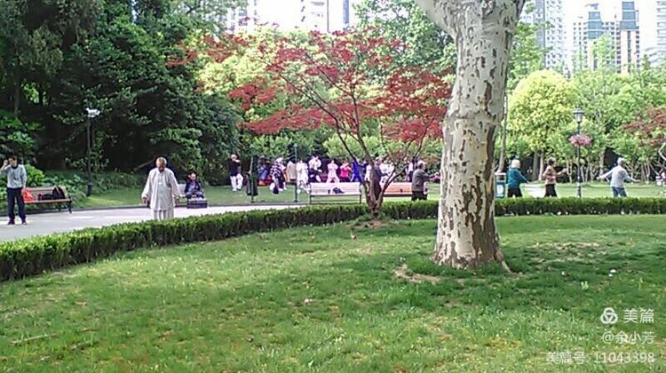 上海中山公园介绍,上海中山公园