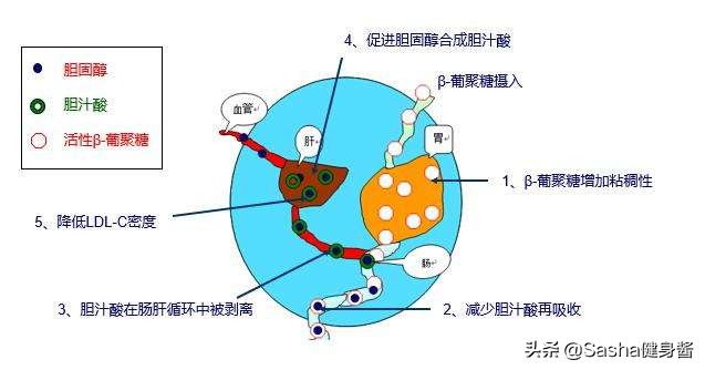 代餐减肥不科学更不健康,代餐减肥如何复食不反弹