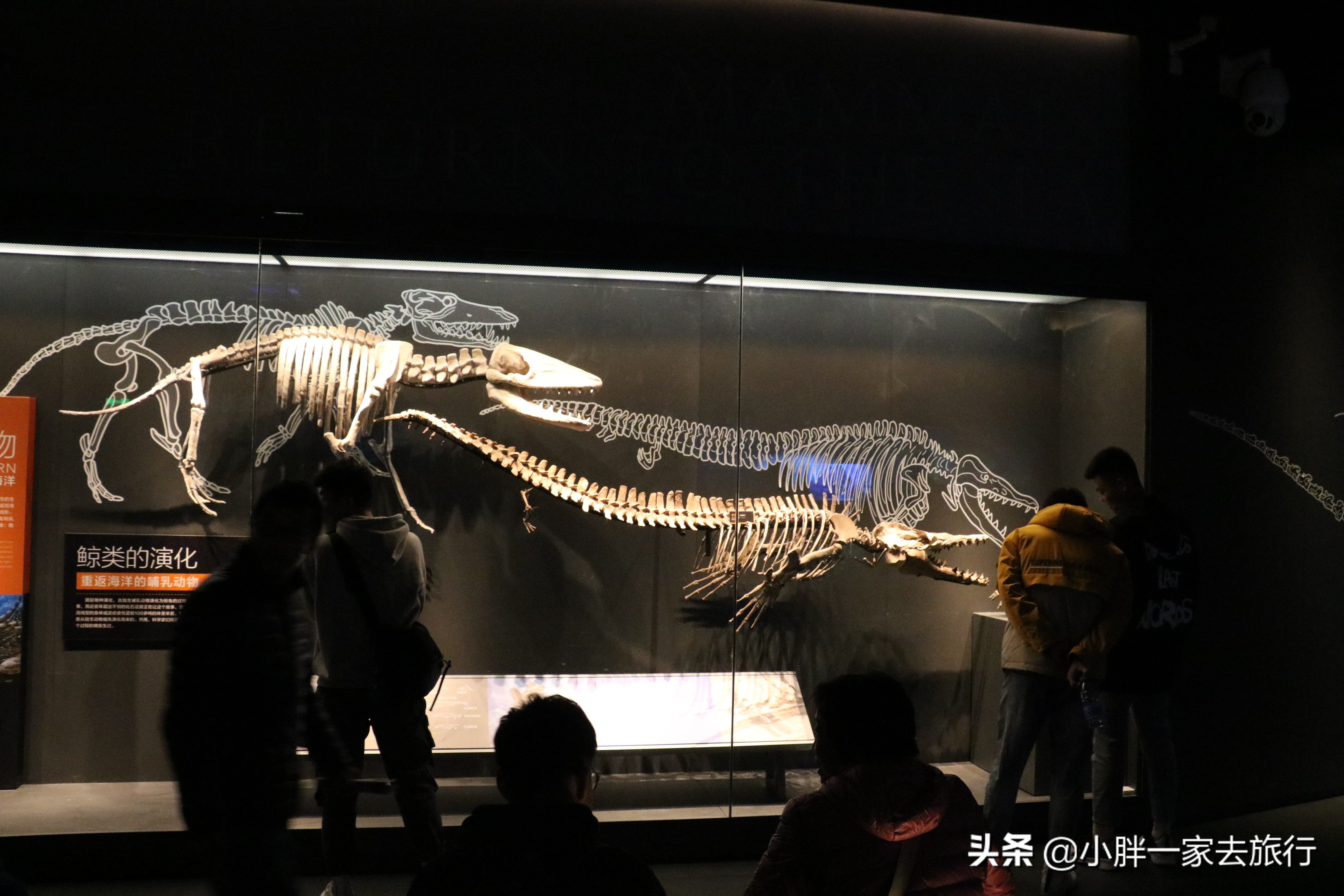 最大的北京海洋博物馆,海上故宫国家海洋博物馆