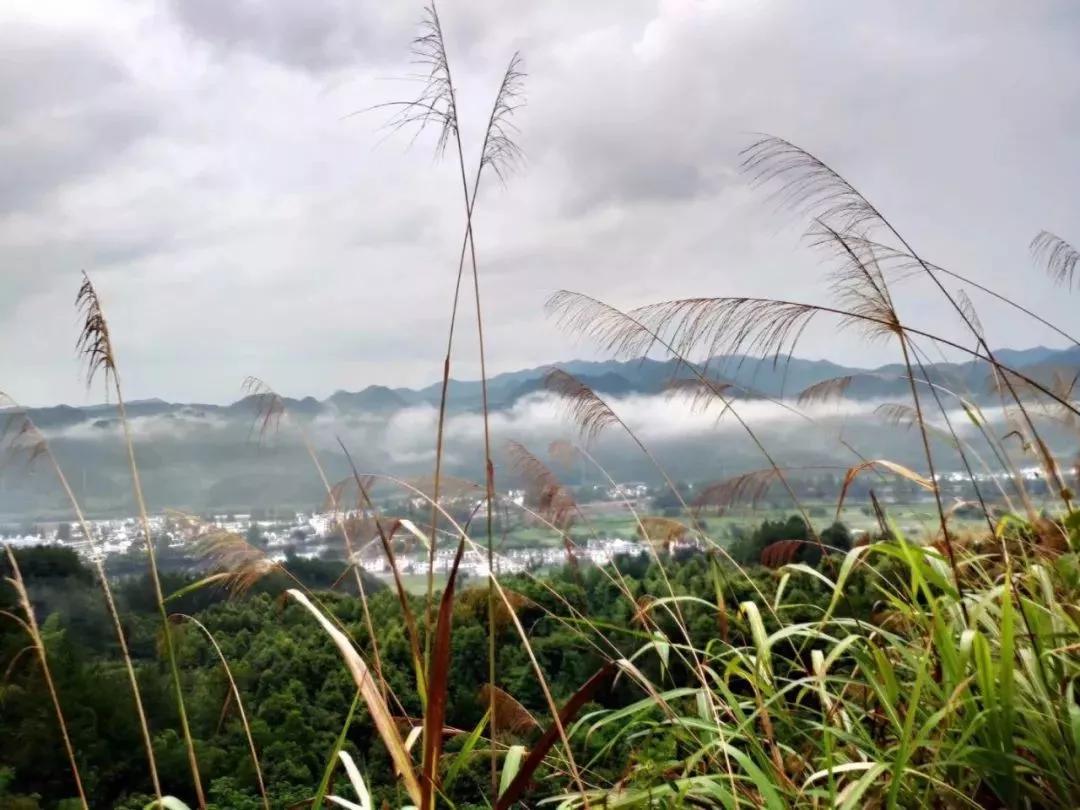 重阳登高赏金秋,重阳逍遥游